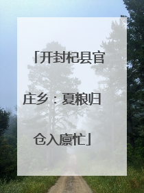 开封杞县官庄乡：夏粮归仓入廪忙