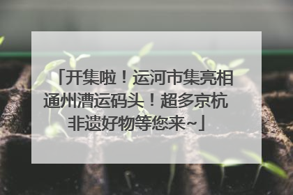 开集啦！运河市集亮相通州漕运码头！超多京杭非遗好物等您来~