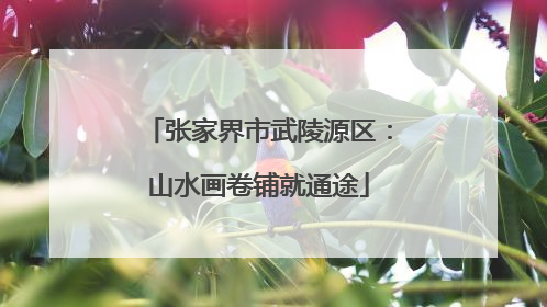 张家界市武陵源区：山水画卷铺就通途