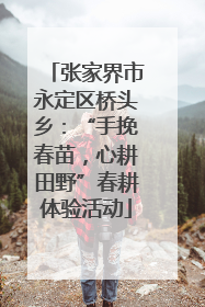 张家界市永定区桥头乡：“手挽春苗，心耕田野”春耕体验活动