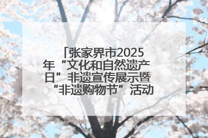 张家界市2025年“文化和自然遗产日”非遗宣传展示暨“非遗购物节”活动在慈利县盛大启幕