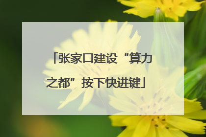 张家口建设“算力之都”按下快进键