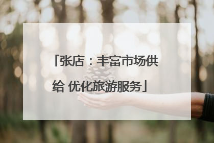 张店：丰富市场供给 优化旅游服务