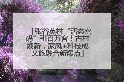 张谷英村“活态密码”引百万客！古村焕新，家风+科技成文旅融合新爆点