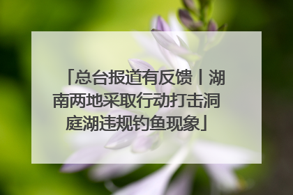总台报道有反馈丨湖南两地采取行动打击洞庭湖违规钓鱼现象