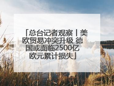 总台记者观察丨美欧贸易冲突升级 德国或面临2500亿欧元累计损失
