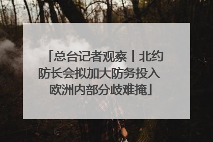 总台记者观察丨北约防长会拟加大防务投入 欧洲内部分歧难掩