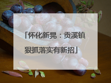 怀化新晃：贡溪镇狠抓落实有新招