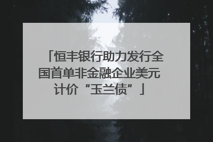恒丰银行助力发行全国首单非金融企业美元计价“玉兰债”