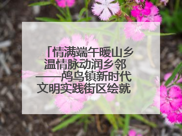 情满端午暖山乡 温情脉动润乡邻——鸬鸟镇新时代文明实践街区绘就文化共富新图景