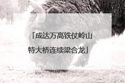 成达万高铁仗岭山特大桥连续梁合龙