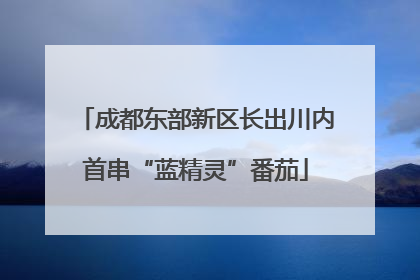 成都东部新区长出川内首串“蓝精灵”番茄