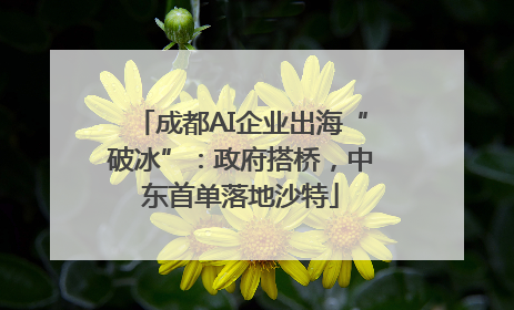 成都AI企业出海“破冰”：政府搭桥，中东首单落地沙特