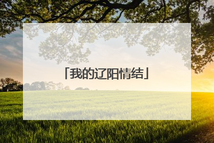 我的辽阳情结