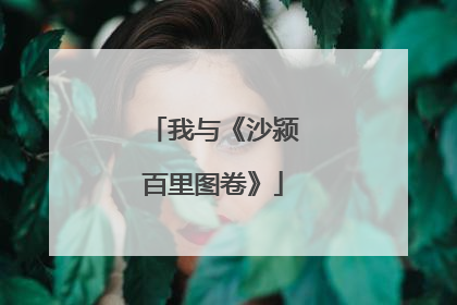 我与《沙颍百里图卷》