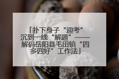 扑下身子“迎考” 沉到一线“解题”——解码岳阳县毛田镇“四多四好”工作法