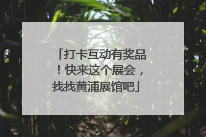 打卡互动有奖品！快来这个展会，找找黄浦展馆吧