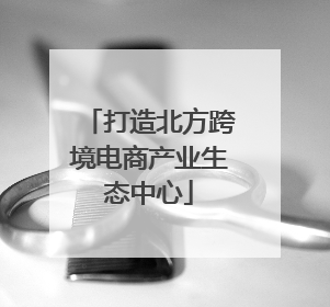 打造北方跨境电商产业生态中心