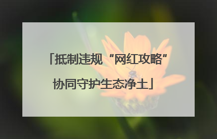 抵制违规“网红攻略” 协同守护生态净土