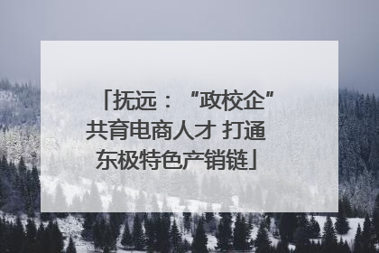抚远：“政校企”共育电商人才 打通东极特色产销链