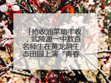 抢收油菜助丰收，武陵源一中数百名师生在黄龙洞生态田园上演“青春助农记”