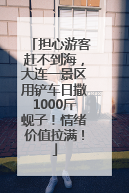 担心游客赶不到海，大连一景区用铲车日撒1000斤蚬子！情绪价值拉满！