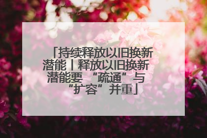 持续释放以旧换新潜能丨释放以旧换新潜能要 “疏通”与“扩容”并重