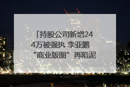 持股公司新增244万被强执 李亚鹏“商业版图”再陷泥潭？｜科技观察