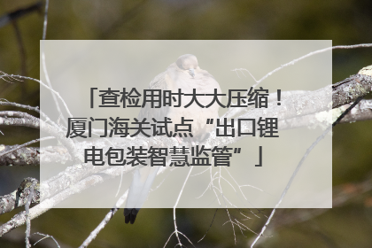 查检用时大大压缩！厦门海关试点“出口锂电包装智慧监管”