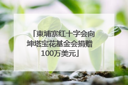 柬埔寨红十字会向坤塔宝花基金会捐赠100万美元
