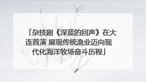 杂技剧《深蓝的回声》在大连首演 展现传统渔业迈向现代化海洋牧场奋斗历程