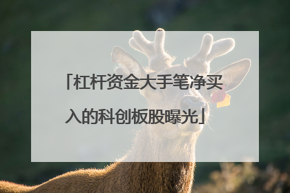杠杆资金大手笔净买入的科创板股曝光