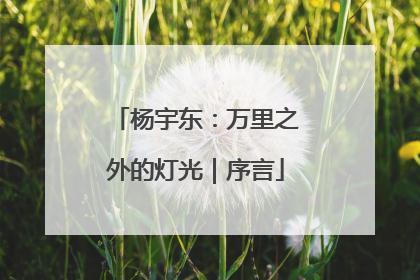 杨宇东：万里之外的灯光｜序言