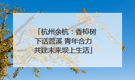 杭州余杭：香樟树下话苕溪 青年合力共建未来坝上生活