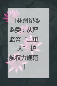 林州纪委监委：从严监督“三重一大” 护航权力规范