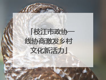 枝江市政协一线协商激发乡村文化新活力