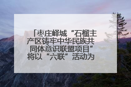 枣庄峄城“石榴主产区铸牢中华民族共同体意识联盟项目”将以“六联”活动为抓手深化品牌建设