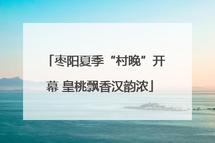 枣阳夏季“村晚”开幕 皇桃飘香汉韵浓
