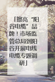 擦亮“阳谷电缆”品牌！市场监管总局到阳谷开展电线电缆专题调研