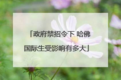 政府禁招令下 哈佛国际生受影响有多大
