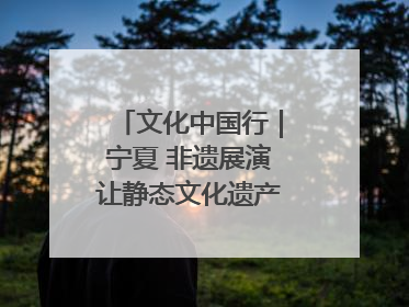 文化中国行｜宁夏 非遗展演让静态文化遗产“活”起来