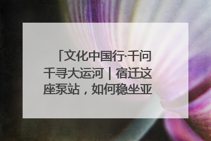 文化中国行·千问千寻大运河｜宿迁这座泵站，如何稳坐亚洲第一宝座？