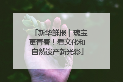 新华鲜报｜瑰宝更青春！看文化和自然遗产新光彩