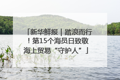 新华鲜报｜踏浪而行！第15个海员日致敬海上贸易“守护人”