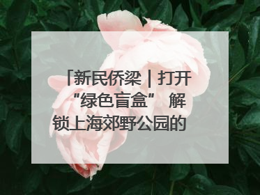 新民侨梁｜打开“绿色盲盒” 解锁上海郊野公园的N种玩法