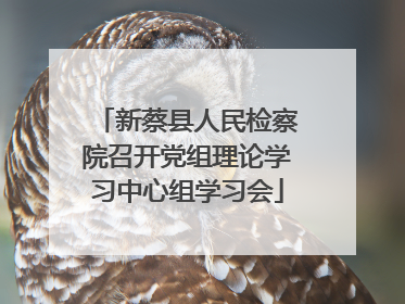 新蔡县人民检察院召开党组理论学习中心组学习会