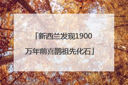 新西兰发现1900万年前喜鹊祖先化石