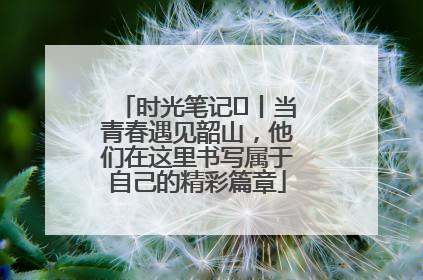 时光笔记⑪丨当青春遇见韶山，他们在这里书写属于自己的精彩篇章