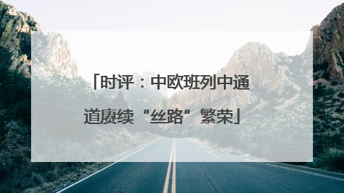 时评：中欧班列中通道赓续“丝路”繁荣