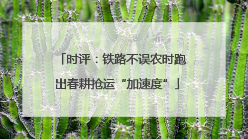 时评：铁路不误农时跑出春耕抢运“加速度”